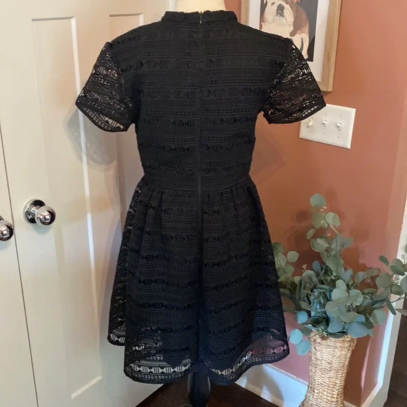 Rachel Parcell Anglaise L Black embroidered overlay fit & flare lined knee dress - Picture 8 of 16